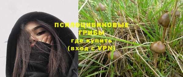 меф Заводоуковск