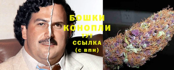 PSILOCYBIN Заволжск